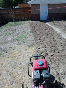 Lawncare1