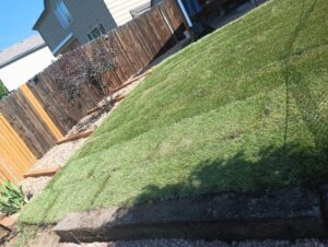 Lawncare4